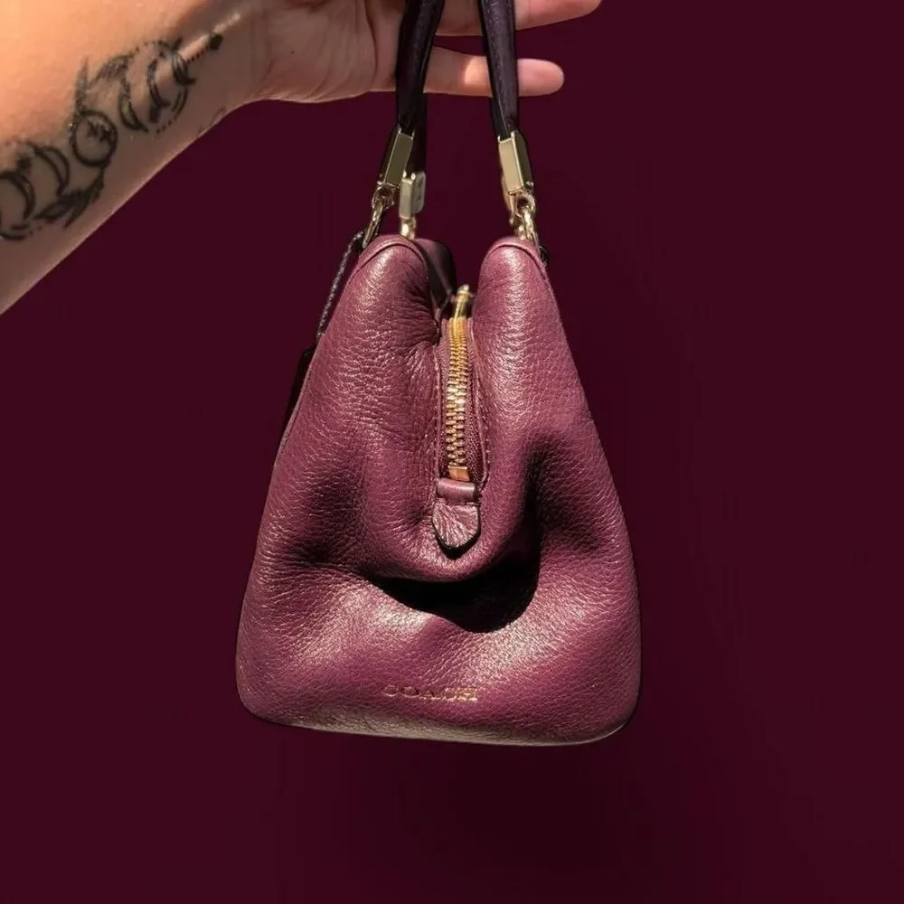Coach Women's Purple and Burgundy Bag